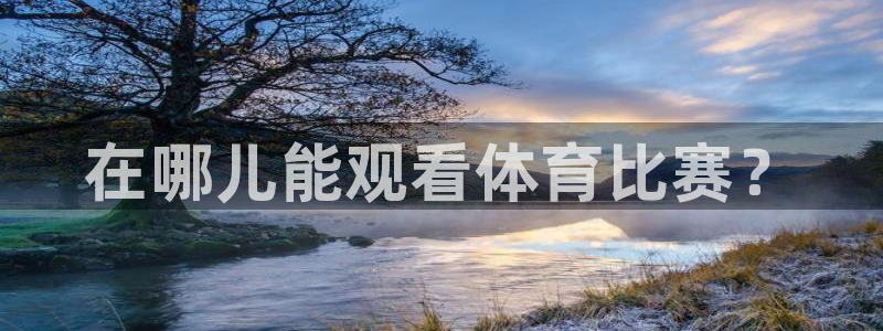 在哪儿能观看体育比赛？