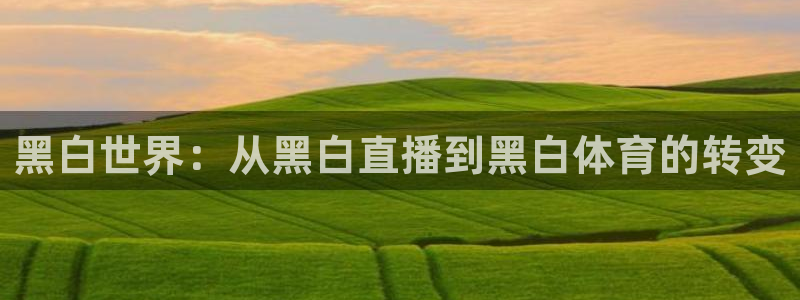黑白世界：从黑白直播到黑白体育的转变