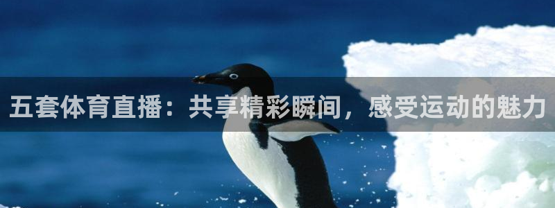 五套体育直播：共享精彩瞬间，感受运动的魅力