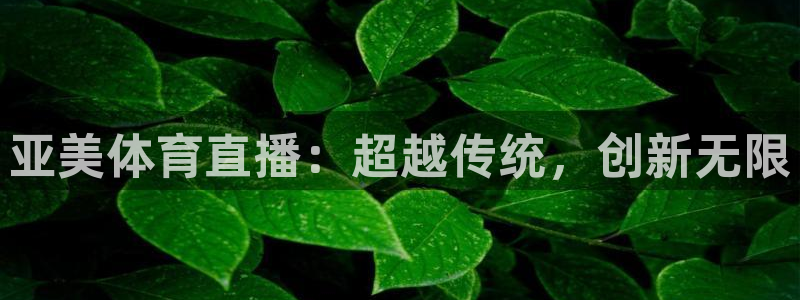 亚美体育直播：超越传统，创新无限