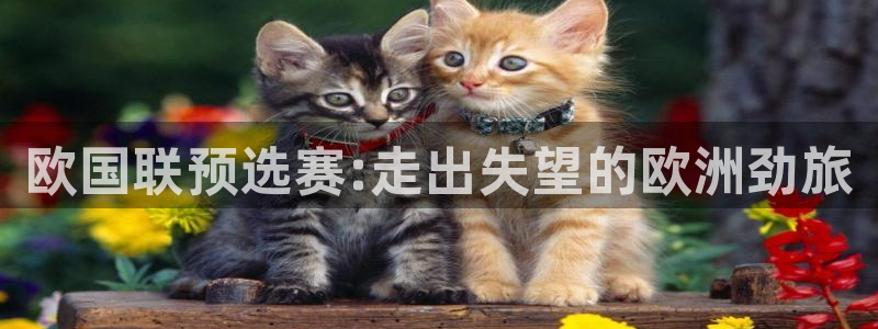 欧国联预选赛:走出失望的欧洲劲旅