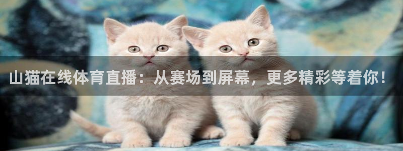 山猫在线体育直播：从赛场到屏幕，更多精彩等着你！