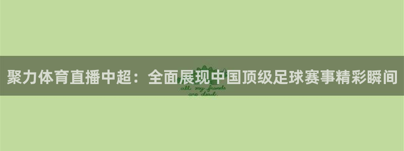 聚力体育直播中超：全面展现中国顶级足球赛事精彩瞬间