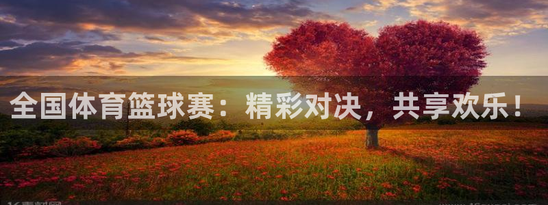 全国体育篮球赛：精彩对决，共享欢乐！